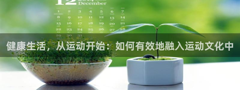 风暴体育下载安装：健康生活，从运动开始：如何有效地融入运动文化中