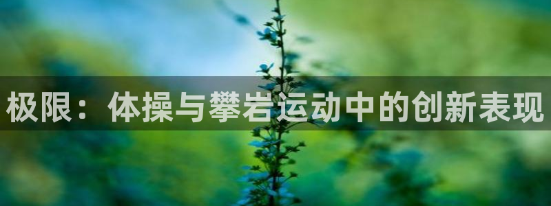 风暴体育苹果下载安装教程：极限：体操与攀岩运动中的创新表现
