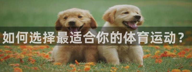 风暴体育下载安装：如何选择最适合你的体育运动？