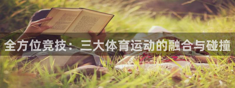风暴体育入口：全方位竞技：三大体育运动的融合与碰撞