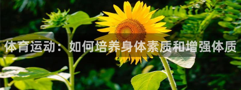 风暴体育比尔拉塞尔：体育运动：如何培养身体素质和增强体质